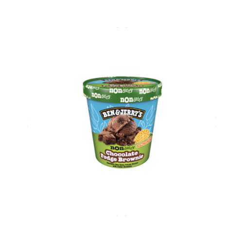 Ben & Jerry’s Non Dairy Fudge Brownie