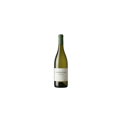 Chardonnay (weiss)